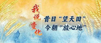 我说变化丨昔日“望天田”  今朝“放心地”