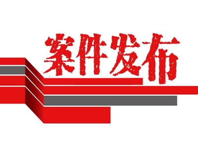 萧县人民政府副县长、县公安局局长张鹏接受纪律审查和监察调查