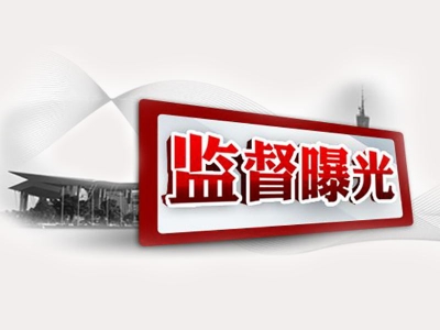 中央纪委办公厅 财政部办公厅公开通报六起地方政府隐性债务追责问责典型案例